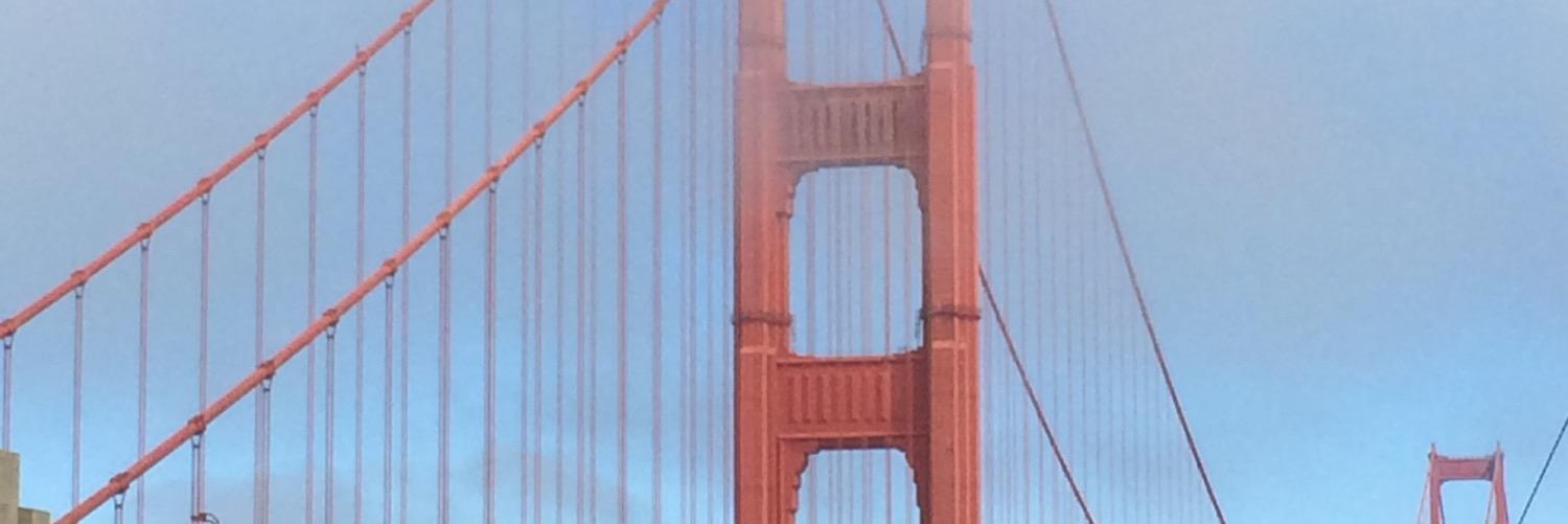 Stehp19's profile banner image