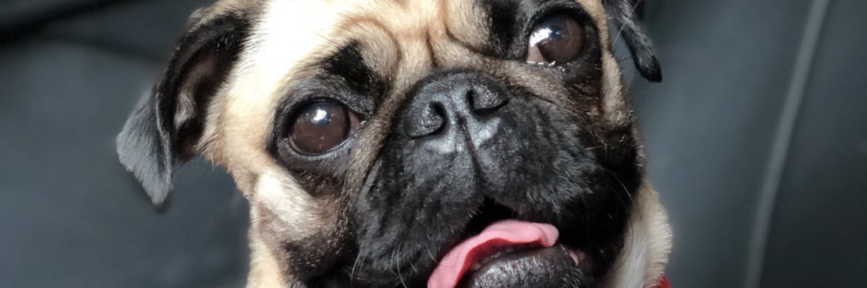 DavidToro95's profile banner image