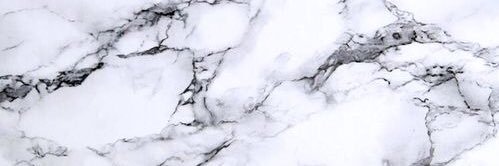 _shelbypomeroy's profile banner image