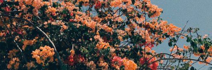 _ThatsJustDev's profile banner image