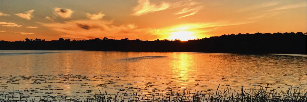 madison_solem's profile banner image