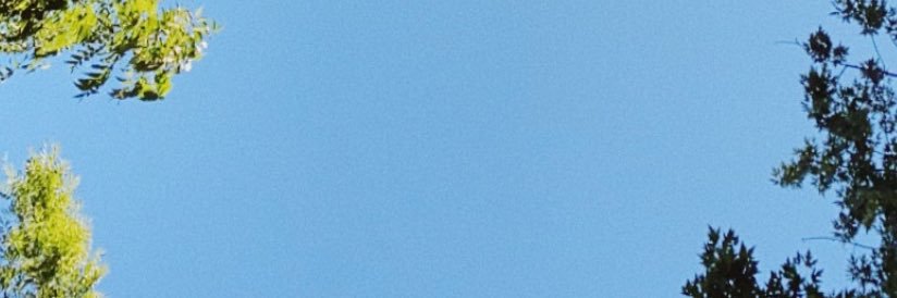 adriennefoley_'s profile banner image