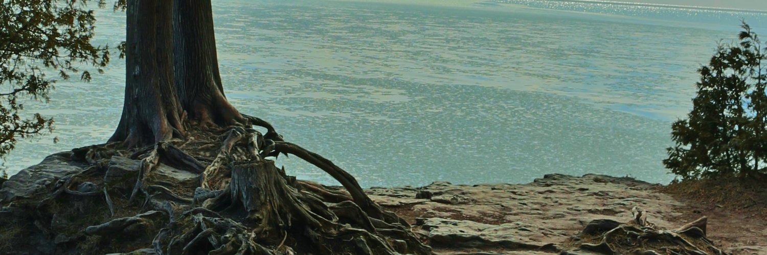 brien_lee's profile banner image
