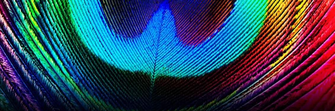 Nixasor's profile banner image