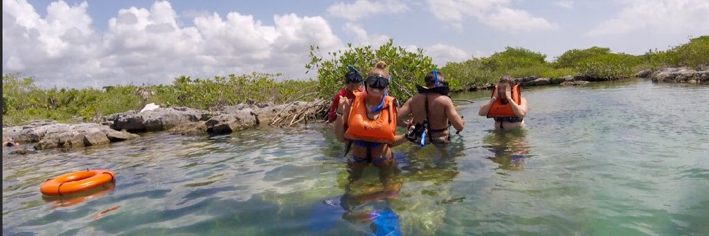 Michelle Marie banner