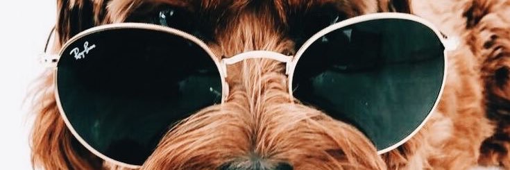 lulaamaldo's profile banner image