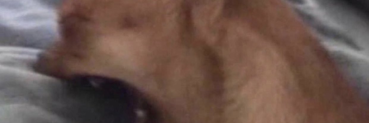 literallydes's profile banner image