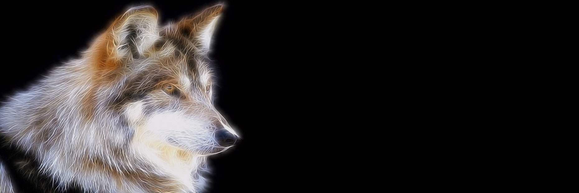 BroB1n's profile banner image