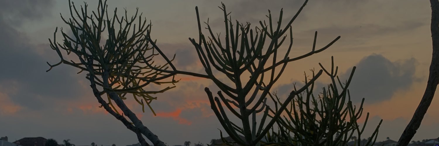 lizzietaylor_'s profile banner image