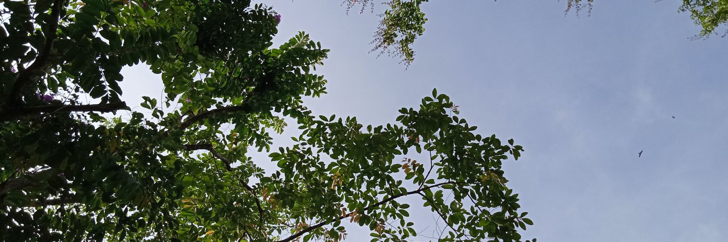 Ferocan27's profile banner image