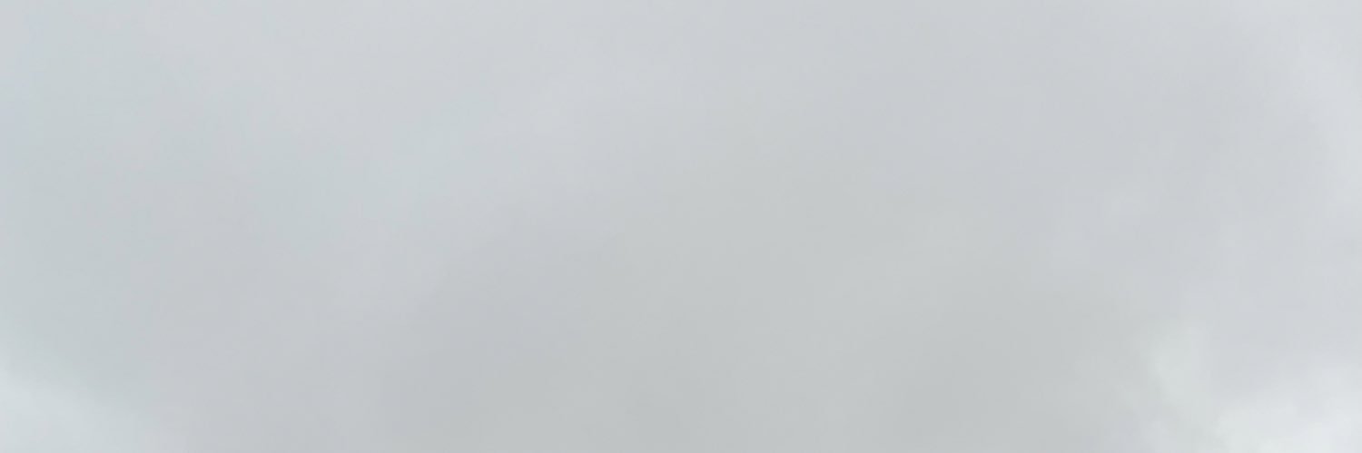 VenesaS2000's profile banner image
