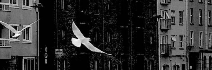 ttq1119's profile banner image