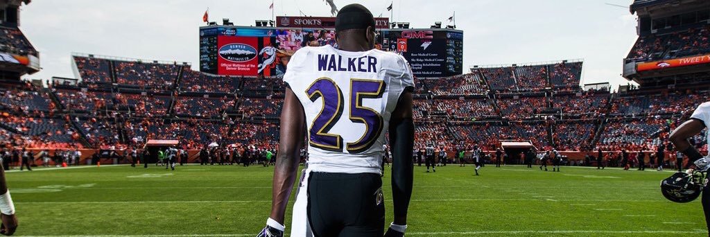 WelfareWaster's profile banner image