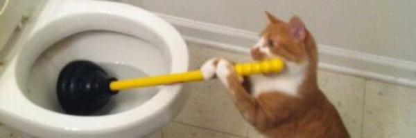 AndrewGraves2 Profile Banner