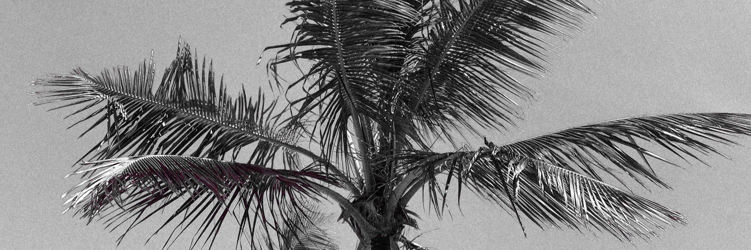 abbydidier's profile banner image