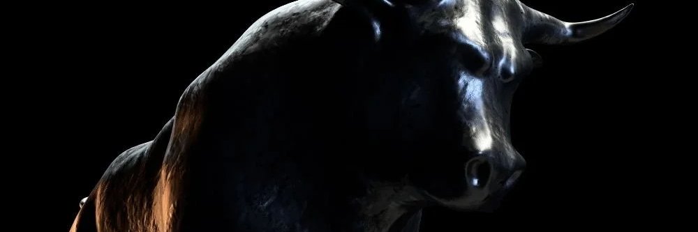 lavaskon's profile banner image