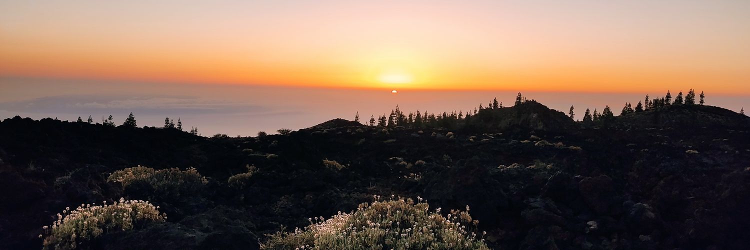 MGels28's profile banner image