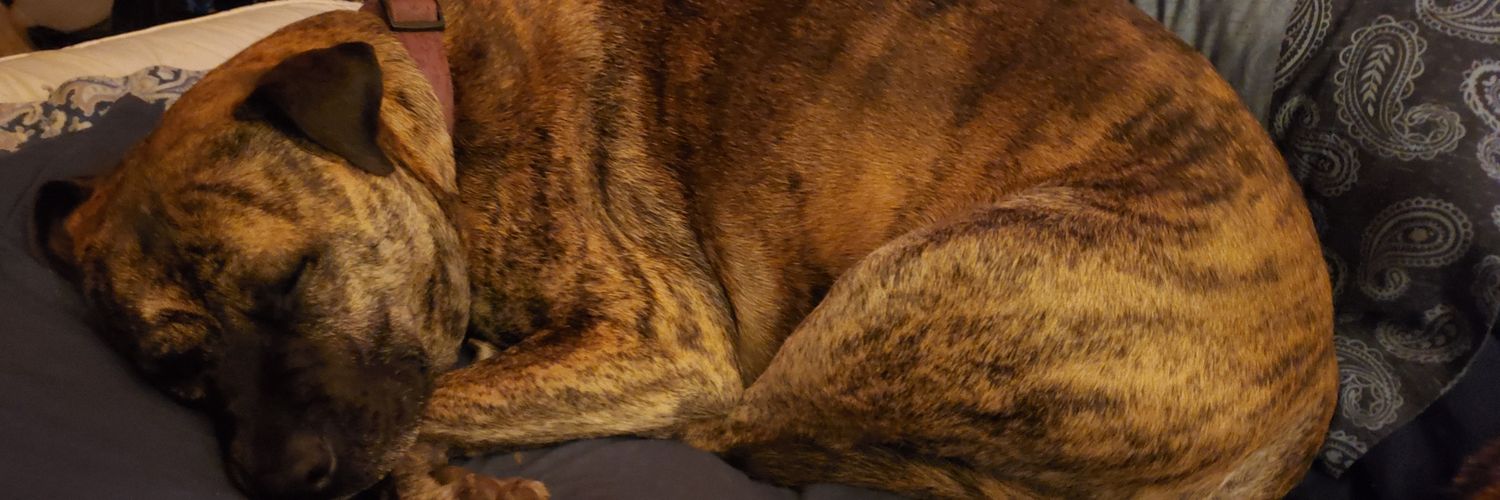 JenFenner's profile banner image