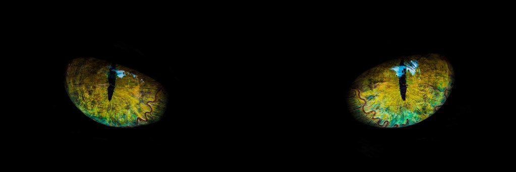 QNguyen173's profile banner image