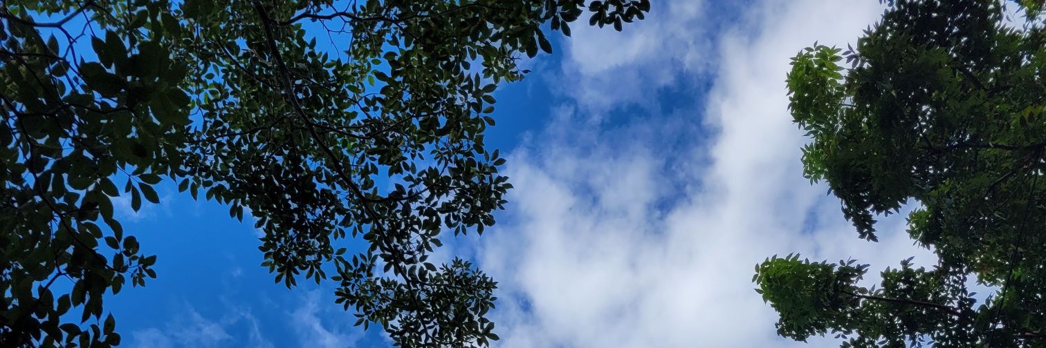 SilmalilaSB's profile banner image
