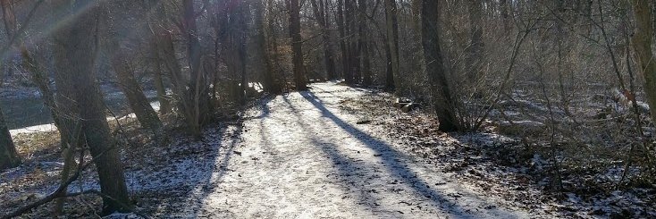 Michael Bruner banner