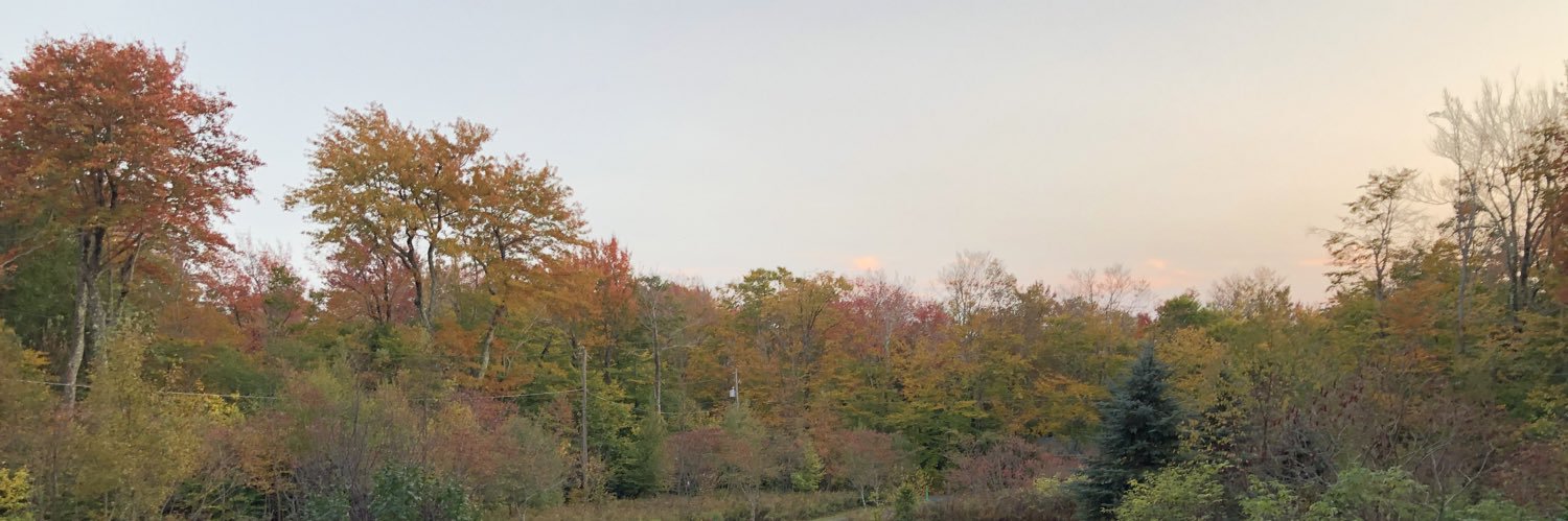 SgtBoots's profile banner image