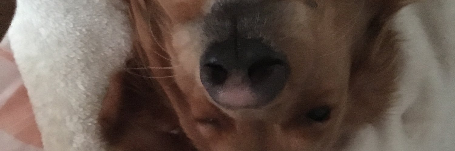 A_Ross1's profile banner image