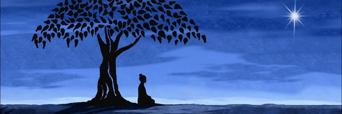 Deniseafonso's profile banner image