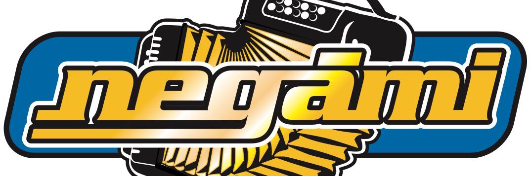 negami1's profile banner image