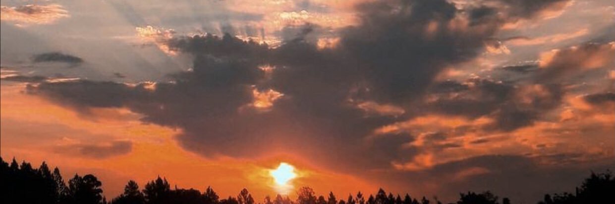 ChloeSmyrl's profile banner image