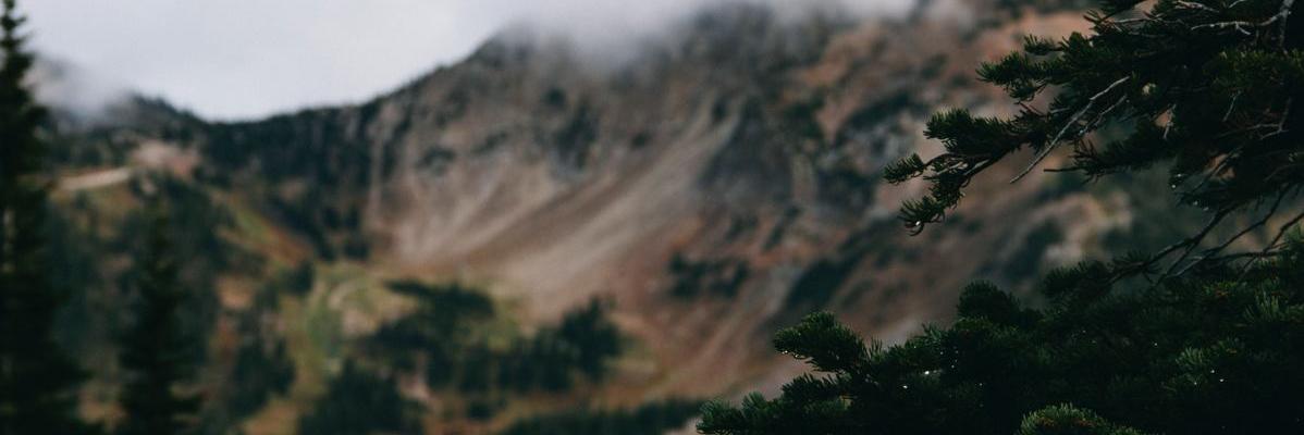proofeyewearin's profile banner image
