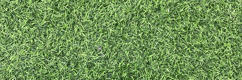 H 🍃🌱🍀 banner
