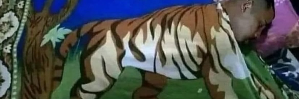miguellvazz's profile banner image