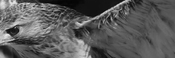 olukory's profile banner image