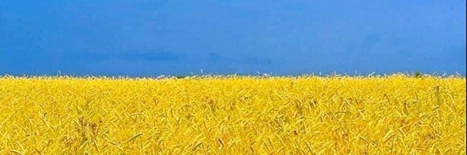 The MFC Truth banner