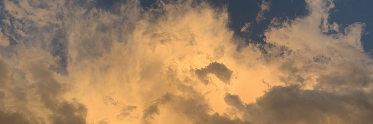 Shuffle_Tho's profile banner image