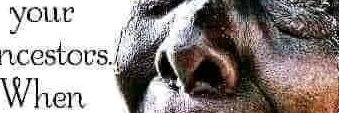 sburuz's profile banner image