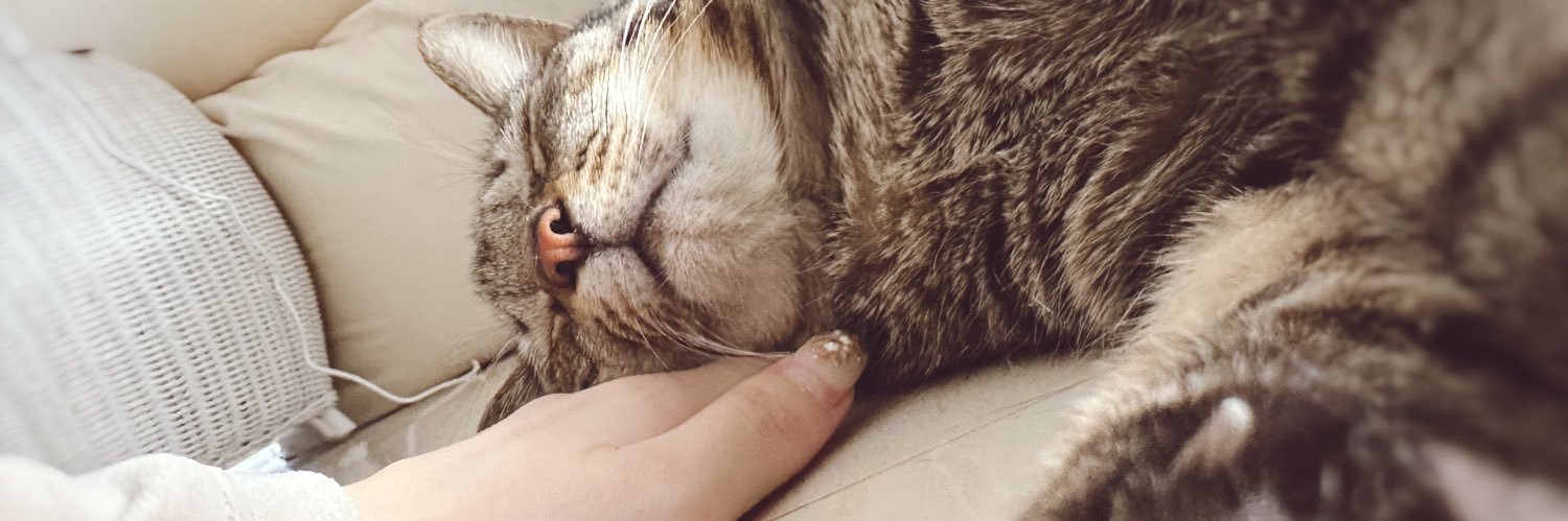 えじりまり˘꒳˘ banner