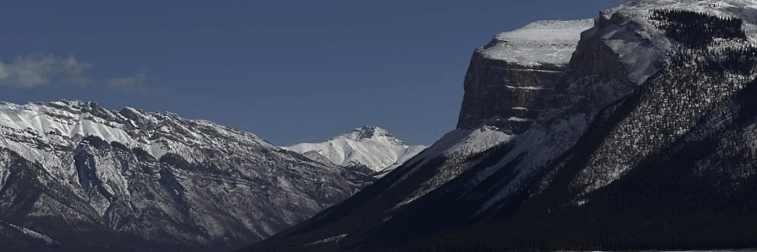 macwillliams's profile banner image