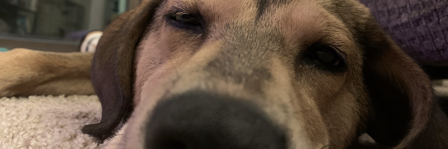 Hunter Townsend banner