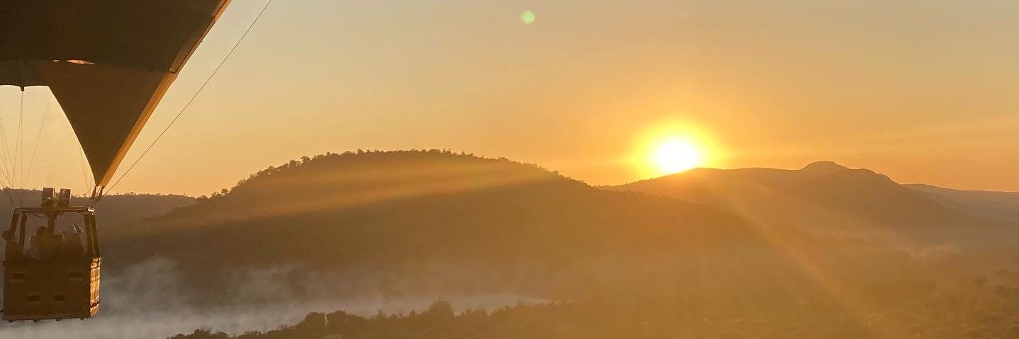 AnElectricLady's profile banner image