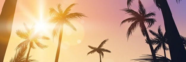 FranLazartee's profile banner image