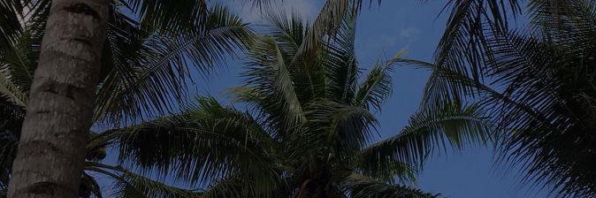 _kkscott's profile banner image