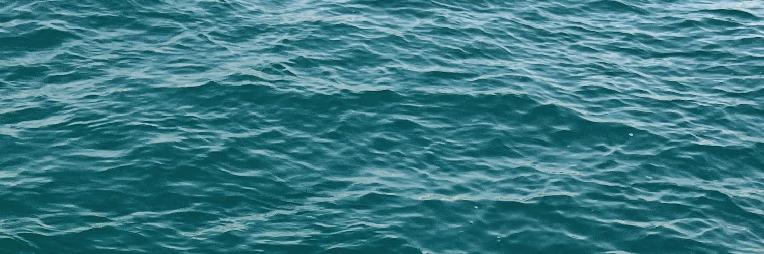 CamiRomer's profile banner image