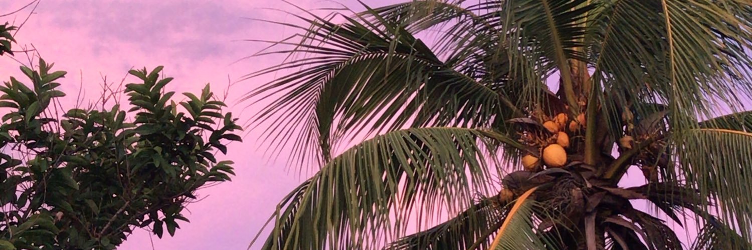 pgbalse's profile banner image