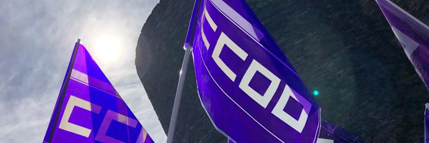 ServizosCCOO's profile banner image
