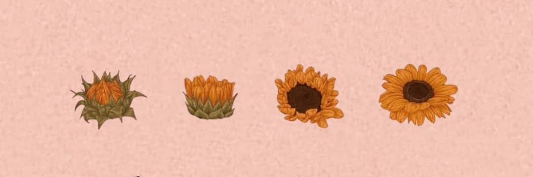 marienoubleau's profile banner image