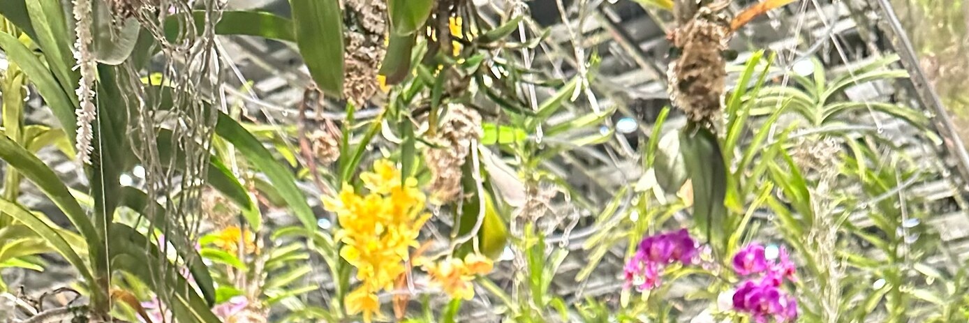 kritagawa's profile banner image