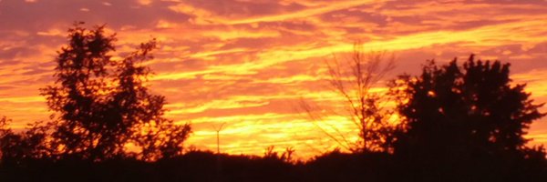 MissABlake Profile Banner