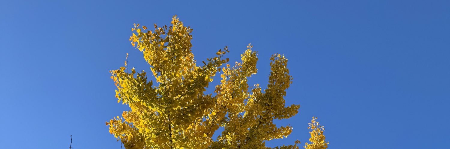 ANAJIMENEZVAL's profile banner image